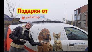 Как поверить в чудо? Подарки от Petshop.ru!