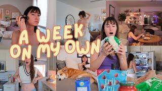 REALISTIC Week in the Life of an Introvert | Working, cooking, cleaning, hobbies...