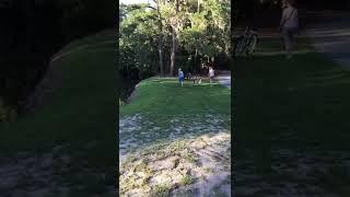 Нападение крокодила/Crocodile attack