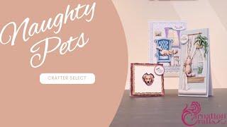 Carnation Crafts TV - Naughty Pets