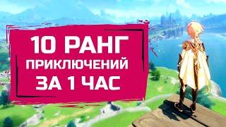 10 ранг приключений за час в Genshin Impact