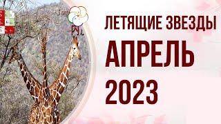 ФЭНШУЙ 2023: Прогноз по Летящим Звездам на Апрель 2023