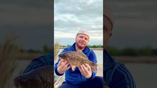 Рыболовный вайб #music #rap #hiphop #fishing #carpfishing #carp #artist #flatfeeder #automobile