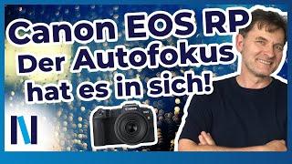 Canon EOS RP: Was der Autofokus so alles kann, erfährst Du hier!