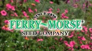 Ferry-Morse Seed Company