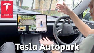 Tesla Autopark Experience!