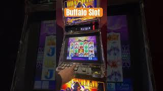 You can win with this Buffalo Slot Strategy in Las Vegas #cashout #buttonslapper