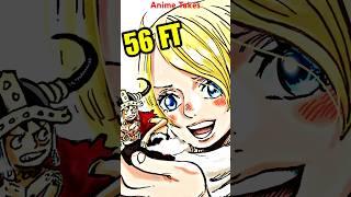 Tallest Vs. Shortest Women In Anime