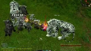 8th Tiger Girl kill with Adamantium