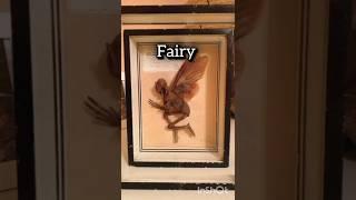 Mythical creatures caught on camera  #short #ytshort