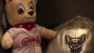 El Paso Chihuahuas prove to be feisty addition to minor league baseball