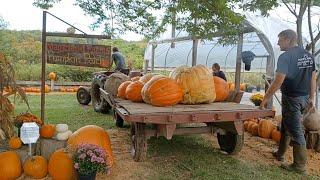 Giant Pumpkin Harvest of 2022!