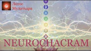  Лотос Муладхара— 1. Мой NEUROCHACRAM. Введение в Практику. Корневая Чакра.