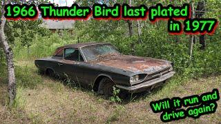 Reviving a 1966 Thunder Bird last driven in 1977. Will it run and drive?