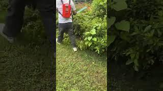 24v 12ah backpack battery hedge trimmer ,  garden trimming machine #gardentools #trimmer