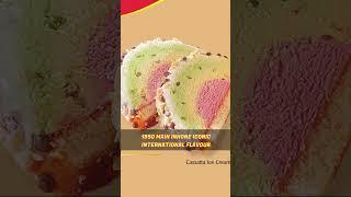 Vadilal Ice-cream Business