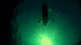 Sharks aren’t the real threat for Oregon workers