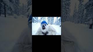 Ai yeti tries shrooms
