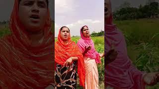 #shortvideo #song #bmkassam