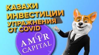 Amir Capital. Признаки пирамиды.