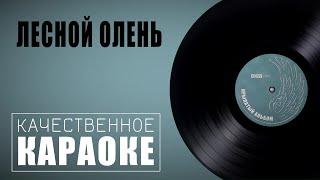 Караоке на песню "Лесной олень" из фильма "Ох уж эта Настя!" | Музыка 80-х