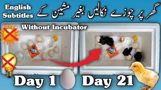 Incubate Eggs without Incubator | Hatching without Incubator | Sunlight Hatching | Poultry Farming