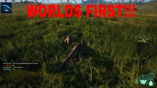 THE ISLE: WORLD'S FIRST CARNO GAMEPLAY ON THE DIET SYSTEM & MEETING A DEV!!!