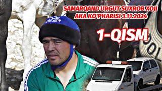 1-QISM SAMARQAND URGUT SUXROB XOJI AKA KO'PKARISI 3.11.2024 @Xiloliddin_Tv