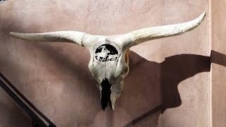 Longhorn Steer Skull Carving