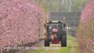 Raleadora Mecánica de Flores - Model DARWIN , hecho en Alemania de Fruit Tec