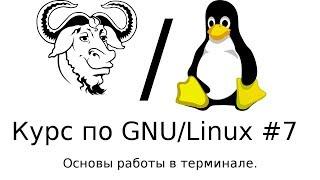 Основы работы в терминале (часть 1)