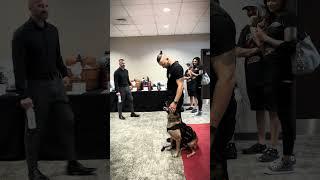 The Best Canine Pro Hub - Ares' First Show: Unforgettable Weekend
