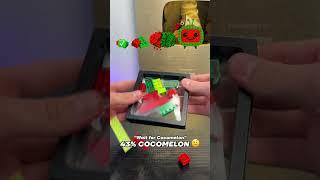 Cocomelon Evolution 