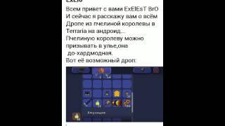 Дроп из пчелиной королевы в Terraria