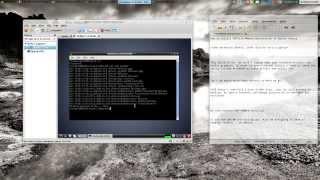 Install VMTOOLS/Workstation10 Debian Wheezy