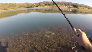 Fishing for big perch in Bulgaria using soft plastic lures