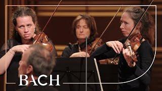 Bach - Air from Orchestral Suite no. 3 in D major BWV 1068 | Netherlands Bach Society