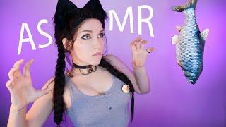 ASMR CAT TRIGGERS 