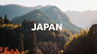 FILM & DIGITAL PHOTOGRAPHY in JAPAN — the best time to visit