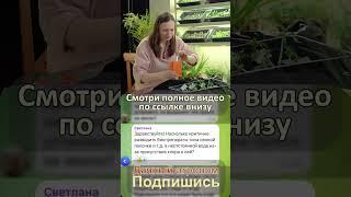 БИОПРЕПАРАТЫ дельный совет #дачныйагроном #биопрепараты #дачныйсезон