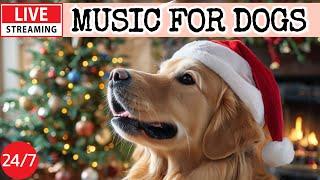 [LIVE] Dog MusicDog Calming MusicSeparation Anxiety ReliefRelaxing Music for Dog Sleep1