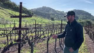 Bud Break at Kick Ranch