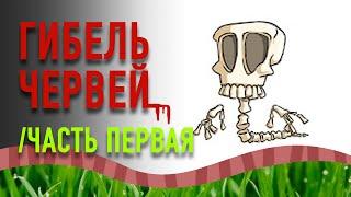 Одна из причин гибели червей.