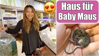 Baby Maus bekommt ein Haus  Spitzmaus Baby retten füttern aufziehen | Nagarium VLOG | Mamiseelen