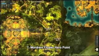 GW2 Auric Basin Hero Points Guide