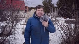 Пасека Сергея Буторина. Выпуск 2