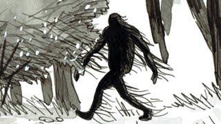 Sasquatch of the Driftless Forests