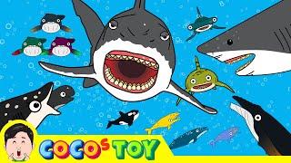 50minㅣA stories of whales and sharks adventuresㅣwhales for kidsㅣCoCosToy