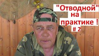 "ОТВОДНОЙ"! Часть 2. Ловля на рачка и ларву !