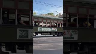 Street cruises down St Charles Ave in Uptown New Orleans #neworleans #streetcars #trolley #train